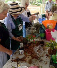 Lunch & Learn About Gardening