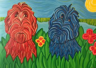 labradoodles