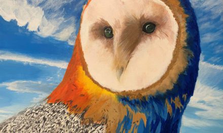 SoBA Teams up with Local Art Students