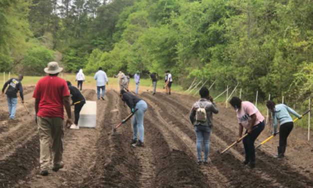 Community Garden ‘Poised to Grow’ at Penn Center