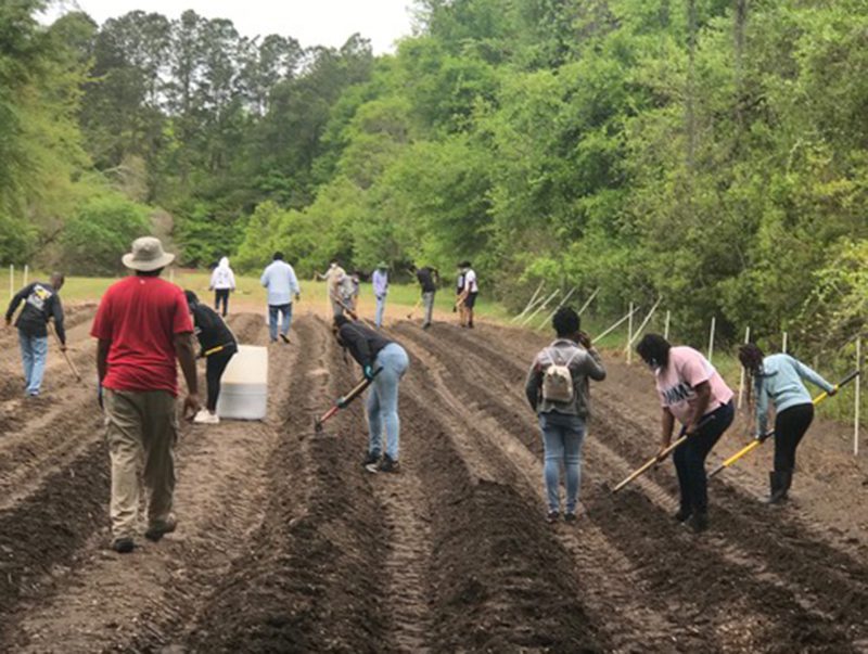 Community Garden ‘Poised to Grow’ at Penn Center