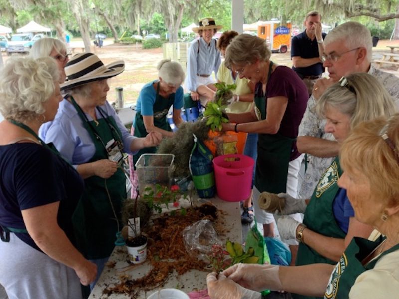 Lunch and Learn Springs Forward