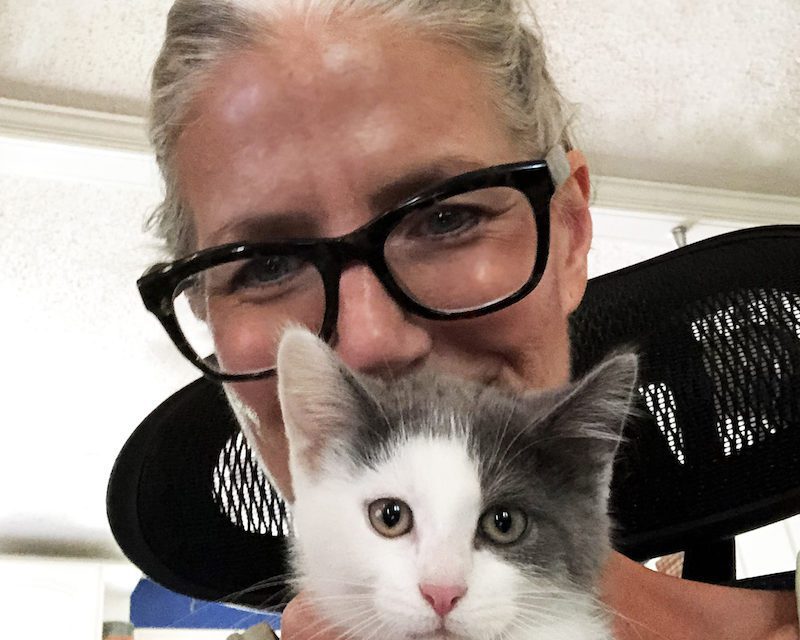 Bid for PAL, Rescue Animals!