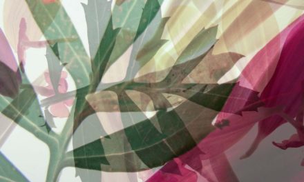 SoBA Hosts Student Art Exhibit