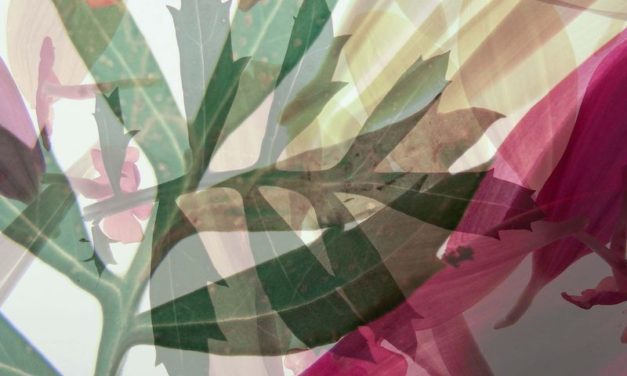 SoBA Hosts Student Art Exhibit