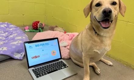 Shop to Save Animals During PAL’s Online Auction