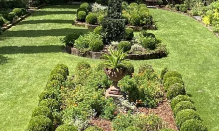 Lady’s Island Garden Club Celebrates 50 Years