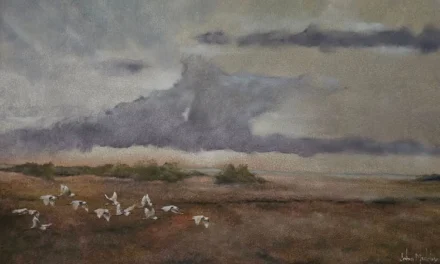 John Meckley’s ‘LowCountry Backyard’