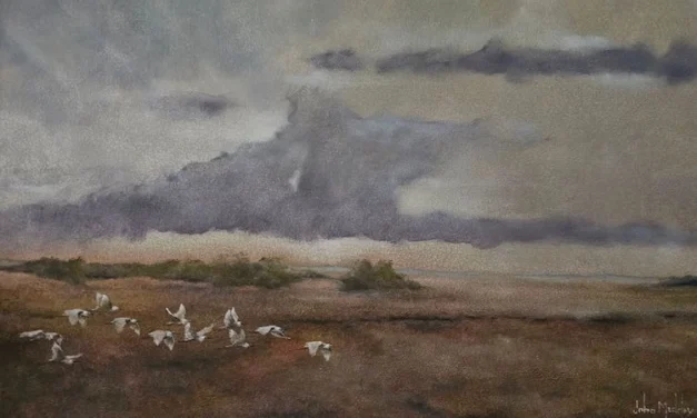 John Meckley’s ‘LowCountry Backyard’