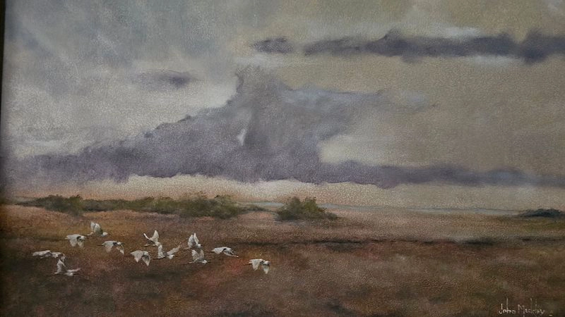 John Meckley’s ‘LowCountry Backyard’