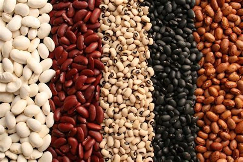 Bean, Beans, the Musical Fruit