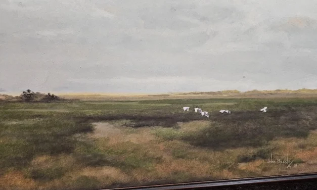 Low Country Egrets in Flight