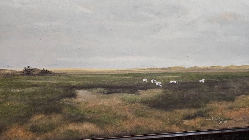 Low Country Egrets in Flight
