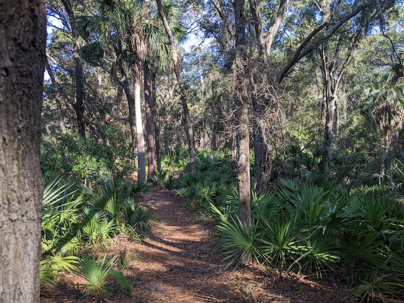 Happy Trails