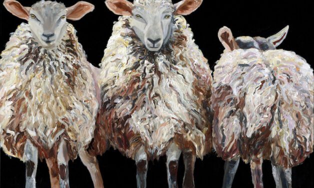 The Black Sheep