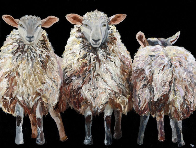 The Black Sheep