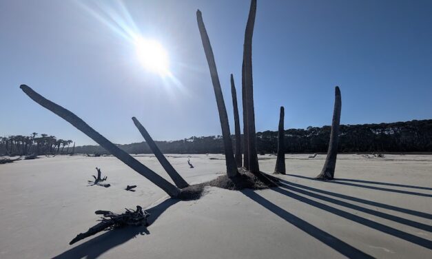 Boneyard Reach