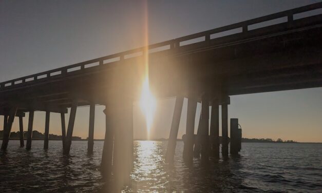 Light Goes Both Directions
