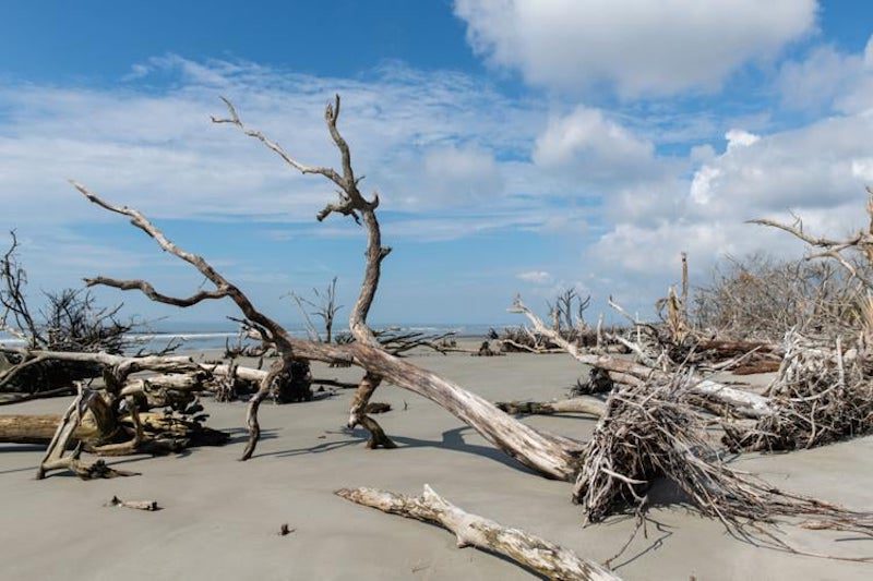 Shifting Sands: A Call for Artists